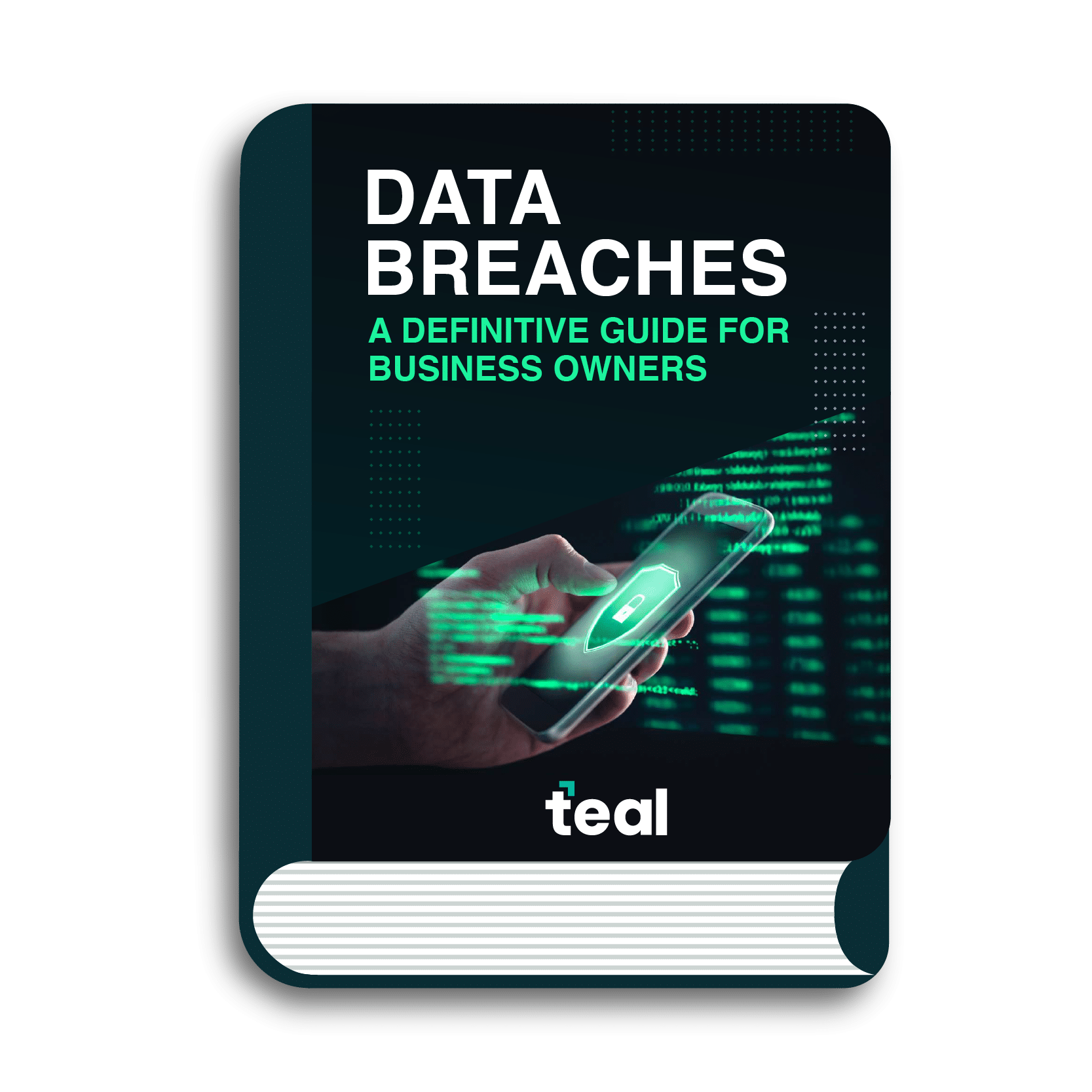 Data Breaches a Definitive Guide for Business Owners